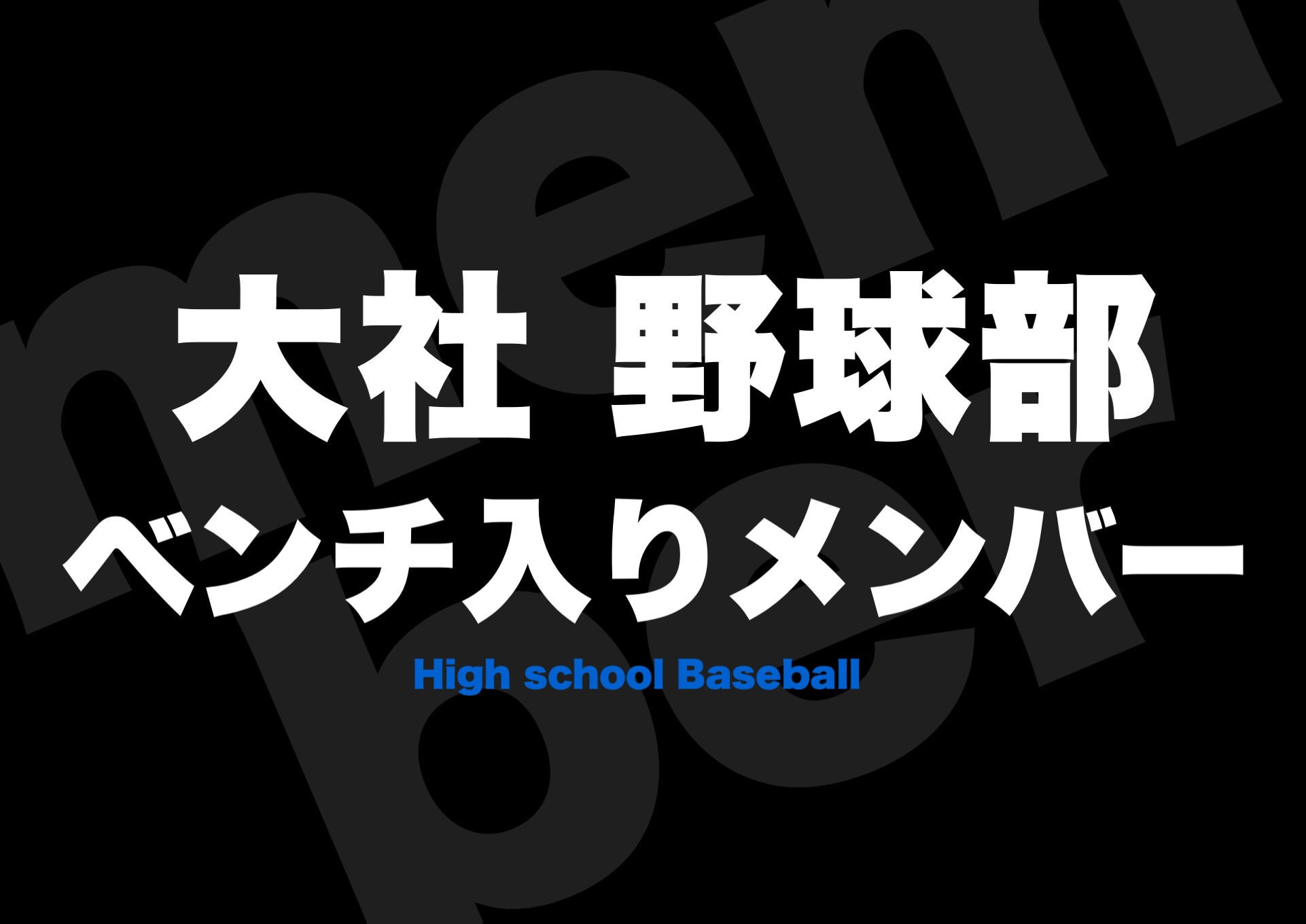 パーカー（大社高校野球部） ハイキュー!! 烏野高校排球部「飛べ」応援旗 ジップパーカー